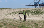 Broedvrij houden APM Terminal Tweede Maasvlakte